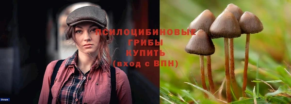 гидра Куйбышев
