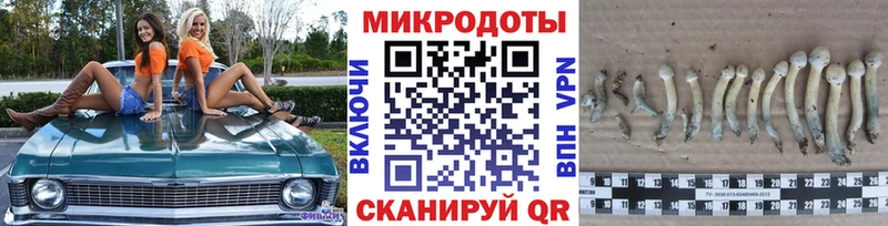 Купить  Медногорск  Псилоцибиновые грибы ЛСД 
